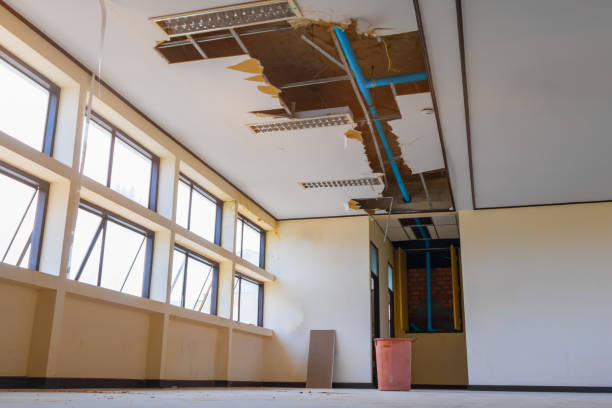 Best Sewage cleanup and water damage restoration  in Lake Butler, FL