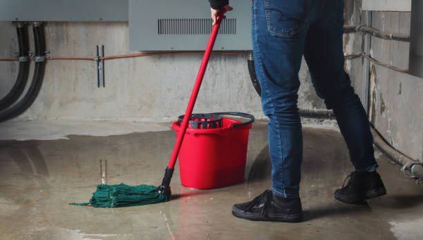 Best Water damage contractors near me  in Lake Butler, FL