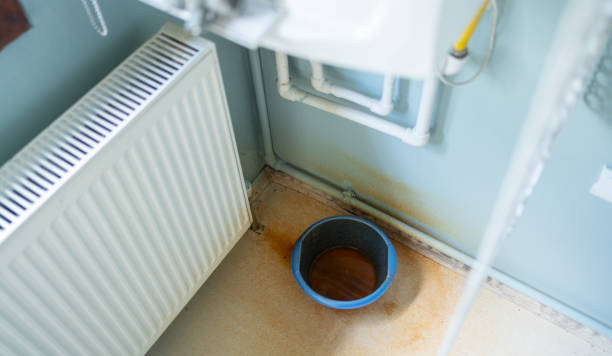 Best Sewage cleanup and water damage restoration  in Lake Butler, FL