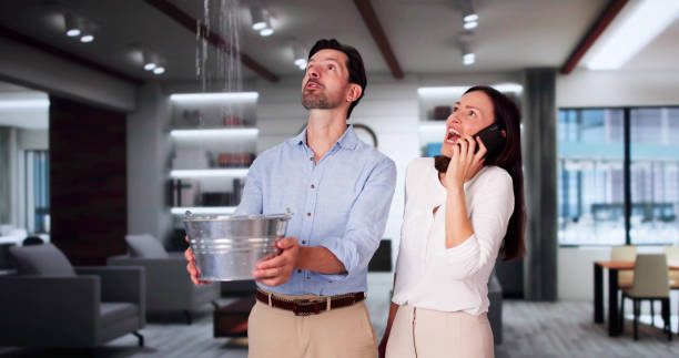 Best Water damage cleanup near me  in Lake Butler, FL